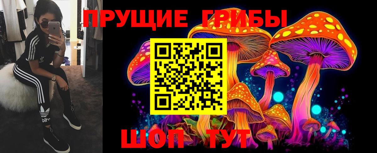 Галлюциногенные грибы Magic Shrooms Иваново